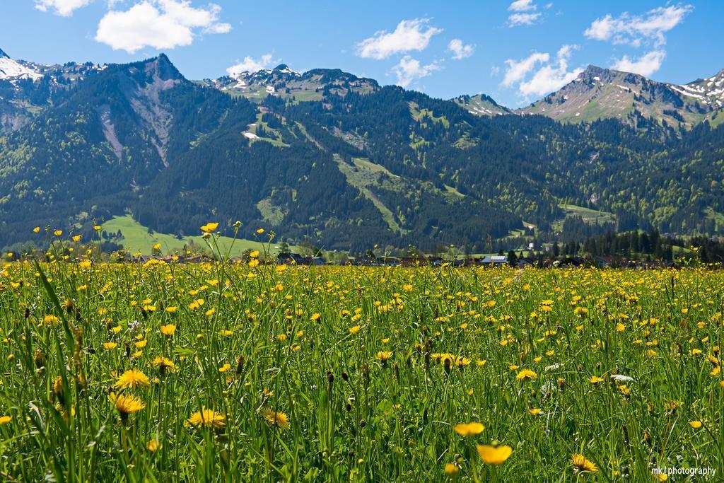 Burgchalet Reutte Ruang foto